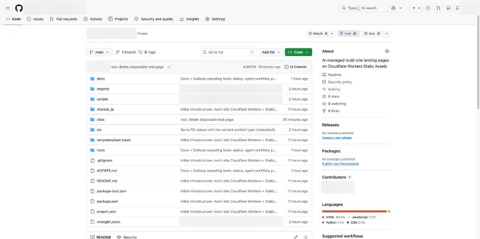 The private repository after import. Account and identifying project details are blurred.